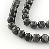 Natural Larvikite Round Beads Strands G-R342-10mm-09-2