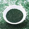 MIYUKI Delica Beads SEED-JP0008-DB1894-2
