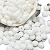 Opaque Colours Glass Seed Beads SEED-C001-03B-01-1