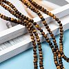 Natural Frosted Tiger Eye Round Bead Strands G-M064-4mm-02-5