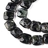 Natural Kambaba Jasper Beads Strands G-T138-171-3