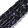 Natural Sodalite Beads Strands G-N327-06-28-1