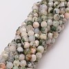 Natural Tree Agate Bead Strands X-G-G882-6mm-E02-2