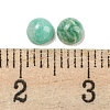 Natural Amazonite Cabochons G-H309-03-62-3