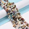 Natural Gemstone Beads Strands G-F328-26-7