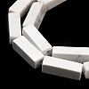 Synthetic Howlite Beads Strands G-K340-D06-01-3