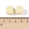 Synthetic Shell & Resin Beads BSHE-G036-18-3