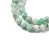 Natural Chrysoprase Beads Strands G-G195-A02-03-4