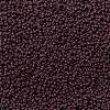 MIYUKI Round Rocailles Beads X-SEED-G009-RR0497-3