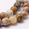 Natural Crazy Lace Agate Beads Strands G-D840-70-12mm-3