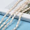 Opaque Glass Beads Strands GLAA-P001-04A-04-4