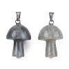 Natural Labradorite Pendants G-N0325-10O-3