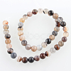 Dyed & Heated Natural Striped Agate/Banded Agate Round Beads Strands G-E230-01-8mm-2