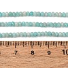 Faceted Rondelle Natural Amazonite Bead Strands G-F289-06A-3