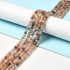 Natural Multi-Moonstone Beads Strands G-I341-06-1