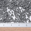 MIYUKI Round Rocailles Beads X-SEED-G007-RR0499-4