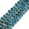 Natural Apatite Beads Strands G-P463-29-1