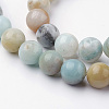 Natural Flower Amazonite Bead Strands G-G735-61-10mm-3