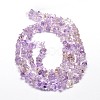 Natural Ametrine Chip Beads Strands G-E271-60-2