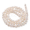 Natural Cultured Freshwater Pearl Beads Strands PEAR-N014-04B-3
