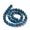 Natural Apatite Beads Strands G-P132-04-8mm-2