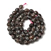 Natural Syenite Beads Strands G-K376-F09-01-3