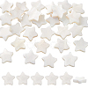 60Pcs Natural Shell Beads Strands SHEL-PH0002-30-1