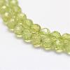 Natural Peridot Beads Strands G-F460-52-3