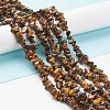 Natural Tiger Eye Chips Beads Strands F012-2-4