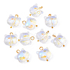 10Pcs Glass Pendants PALLOY-YW00061-01-1
