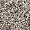 TOHO 6/0 Demi Round Beads Y-SEED-DR06-PF21F-4