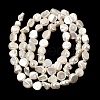 Electroplated Shell Pearl Beads Strands BSHE-B008-06B-2