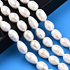 Natural Cultured Freshwater Pearl Beads Strands PEAR-N012-10B-2