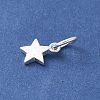 S925 Sterling Silver Pendant STER-H115-03C-S-2