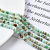 Natural Chrysoprase Beads Strands G-S333-4mm-016-4