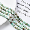 Natural Chrysoprase Beads Strands G-S333-6mm-016-4