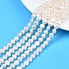 Natural Cultured Freshwater Pearl Beads Strands PEAR-N014-07B-1