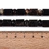 Natural Biotite Beads Strands G-Q616-09B-5