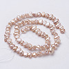 Natural Cultured Freshwater Pearl Beads Strands PEAR-P002-53D-2