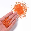 12/0 Round Glass Seed Beads SEED-US0003-2mm-169B-4