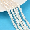 Natural Cultured Freshwater Pearl Beads Strands PEAR-P064-19D-04A-1