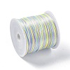 Segment Dyed Nylon Rattail Satin Cords NWIR-A008-01F-2