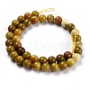 Natural Yellow Opal Beads G-P446-02C-2