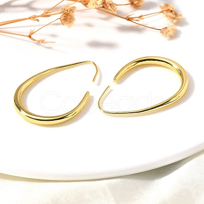 Teardrop Brass Dangle Earrings EJEW-R018-01G-1