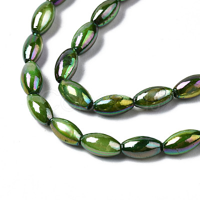 Freshwater Shell Beads Strands SHEL-N026-141B-1