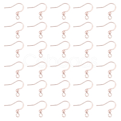 316 Surgical Stainless Steel Earring Hooks STAS-P220-13RG-1