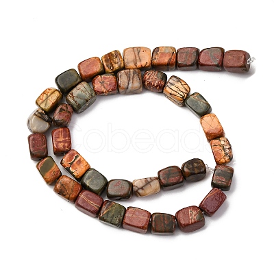 Natural Picasso Stone/Polychrome Jasper Beads Strands G-B155-D10-1