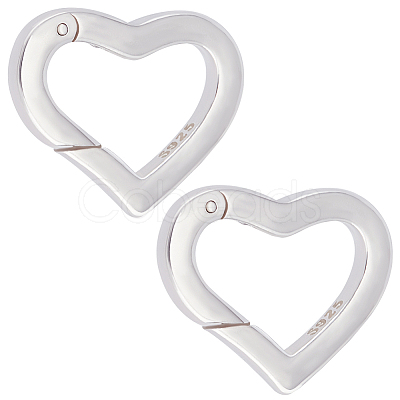 2Pcs 925 Sterling Silver Spring Gate Rings STER-BBC0008-24B-1