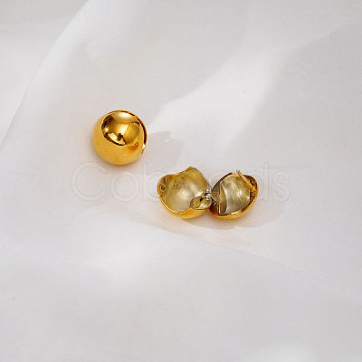 304 Stainless Steel Hoop Earrings for Women LV0668-1