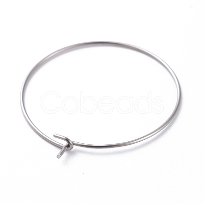316 Surgical Stainless Steel Hoop Earring Findings STAS-J025-01D-P-1